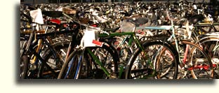 Mountainbikes und Velos kaufen und verkaufen Basel und Zürich