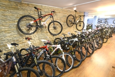 Mountainbike_kaufen