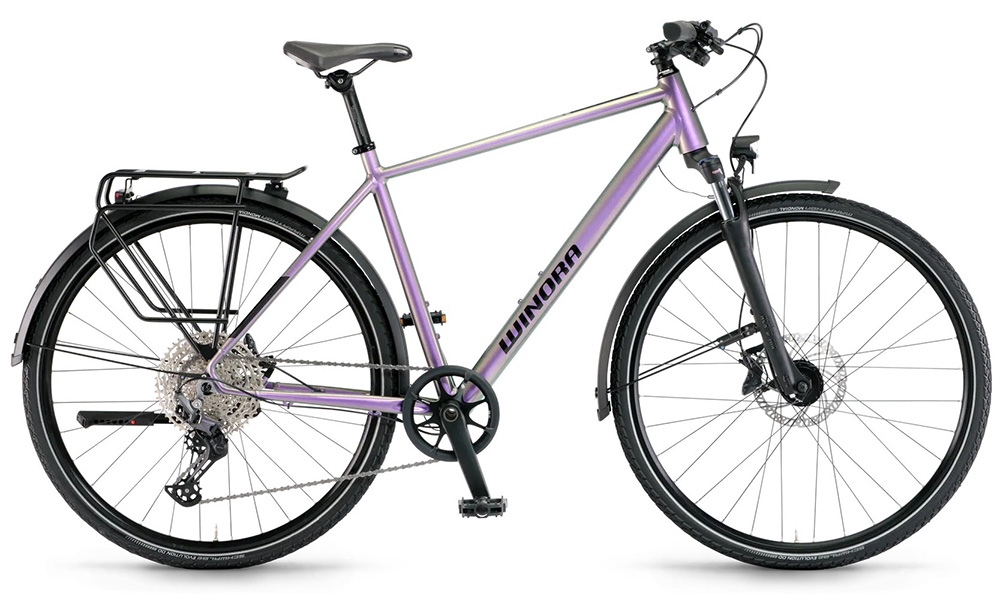 Winora Domingo 12 Pro